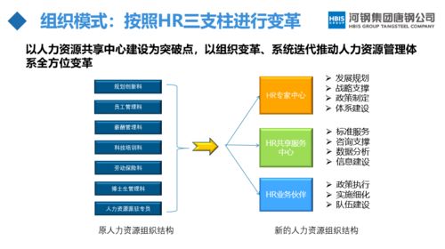 河鋼唐鋼 特大型國企hr數(shù)字創(chuàng)新之路