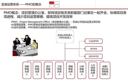 高效 龍湖 pmo 項目管理部 體系研究