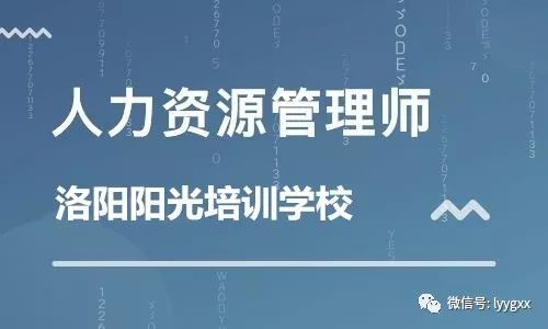 2018年11月高級(jí)人力資源管理師 專業(yè)技能 真題及解析